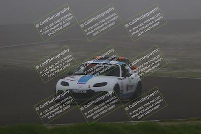 media/Jan-17-2026-CalClub SCCA (Sat) [[6b87d8fe28]]/Qual 6/Turn 3/